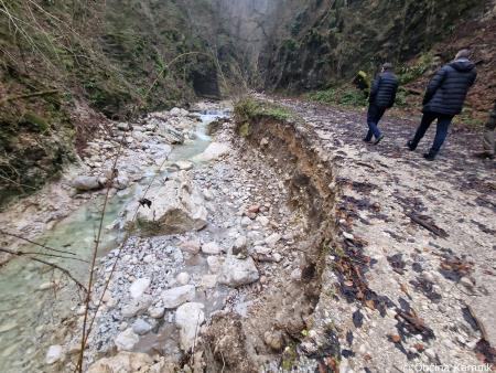 Terenski ogledi poškodovanih gozdnih cest (9)
